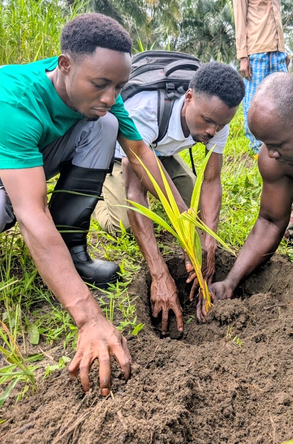 Tree planting